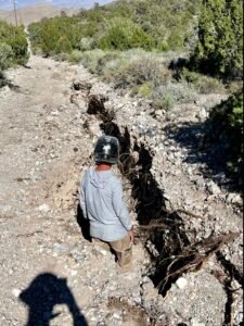 an adult staff person stands in a crevice washed out of a dirt road that winds up a hill of large shrubs and small pines